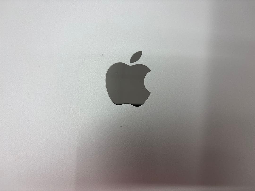 iPad Pro11インチ2世代 256GB Cellularモデル