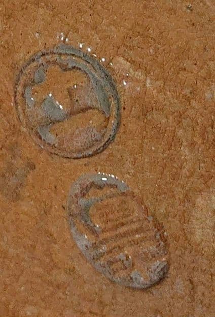 中村道年作銘々皿 6枚セット