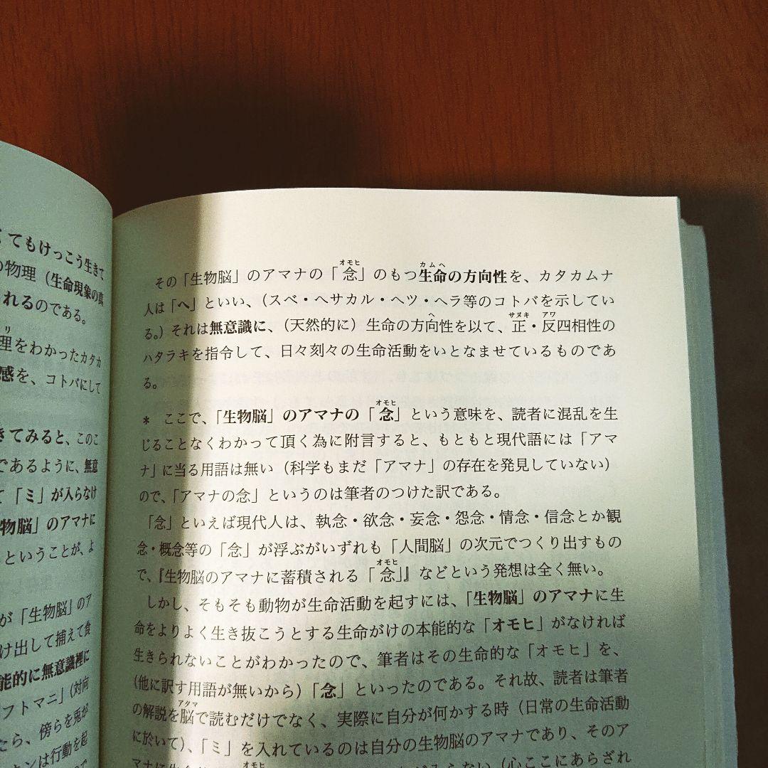 相似像学会誌 第十五号