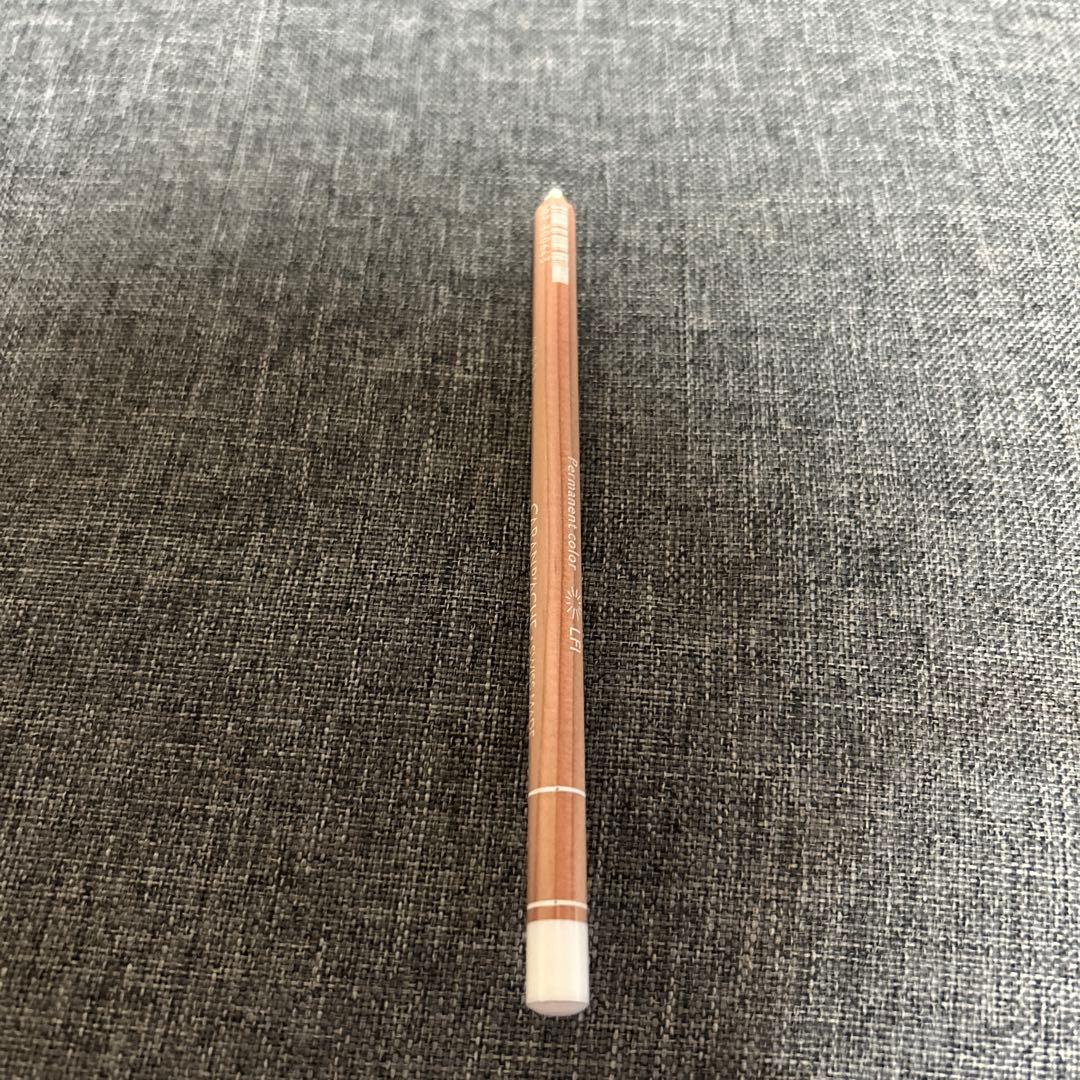 CARAN D'ACHE LUMINANCE 6901 20色セット おまけあり