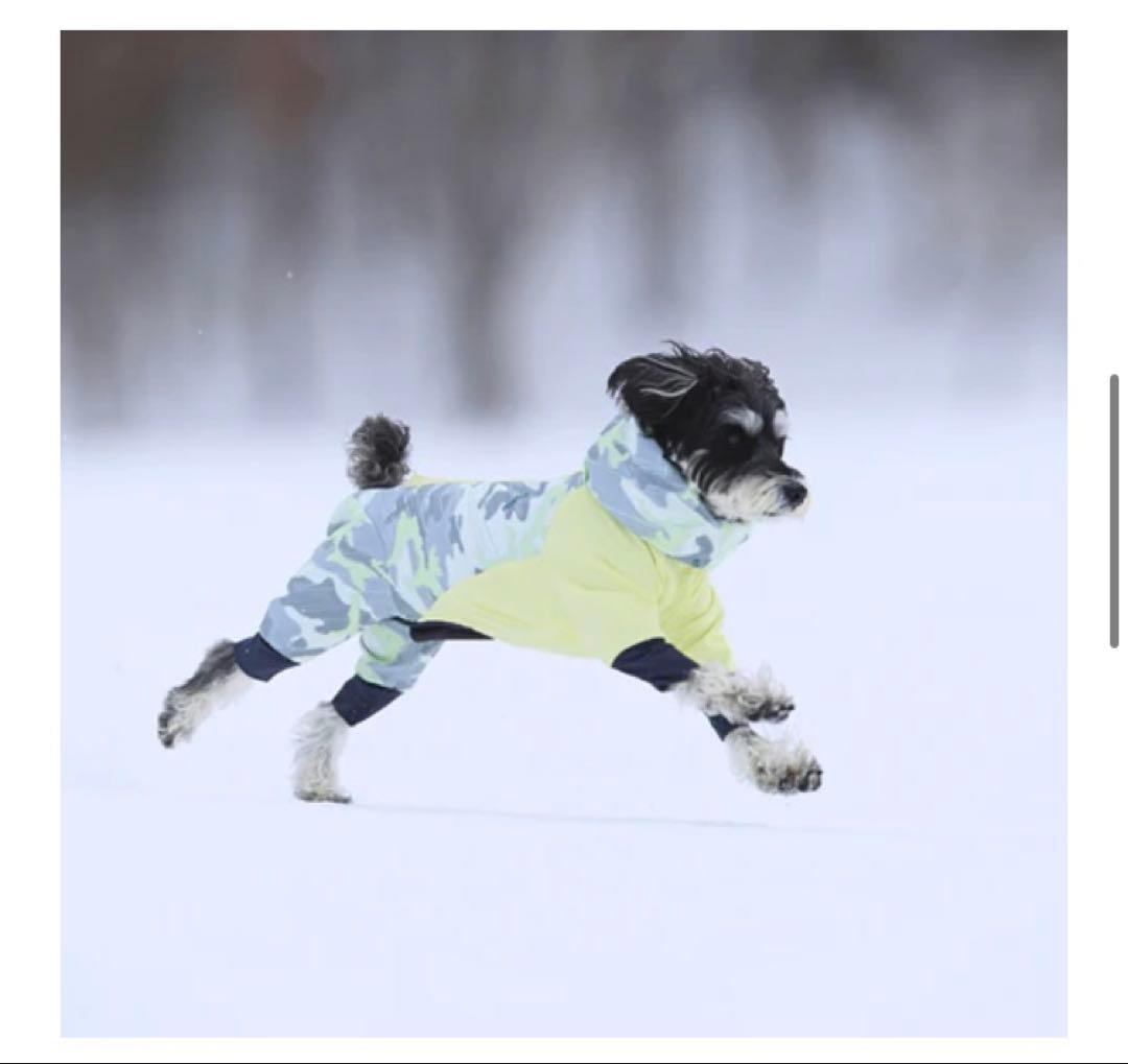 完売人気サイズ！！ALPHAICON❤︎ アルファアイコン❤︎ドッグガードエア❤︎ML