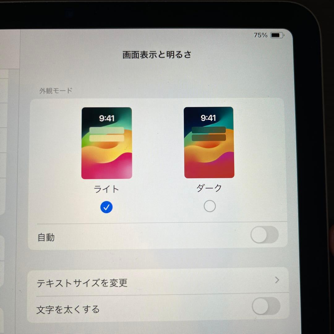 iPadAir 256GB 第5世代