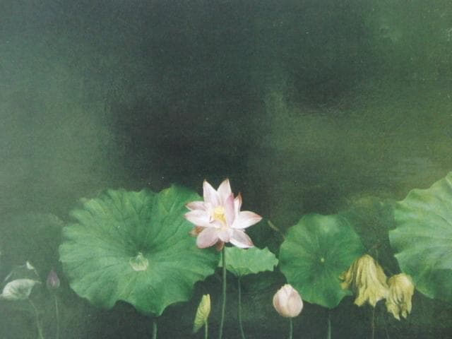 塩崎敬子、【コンポジション　蓮　I】、希少な額装用画集より、新品額装付