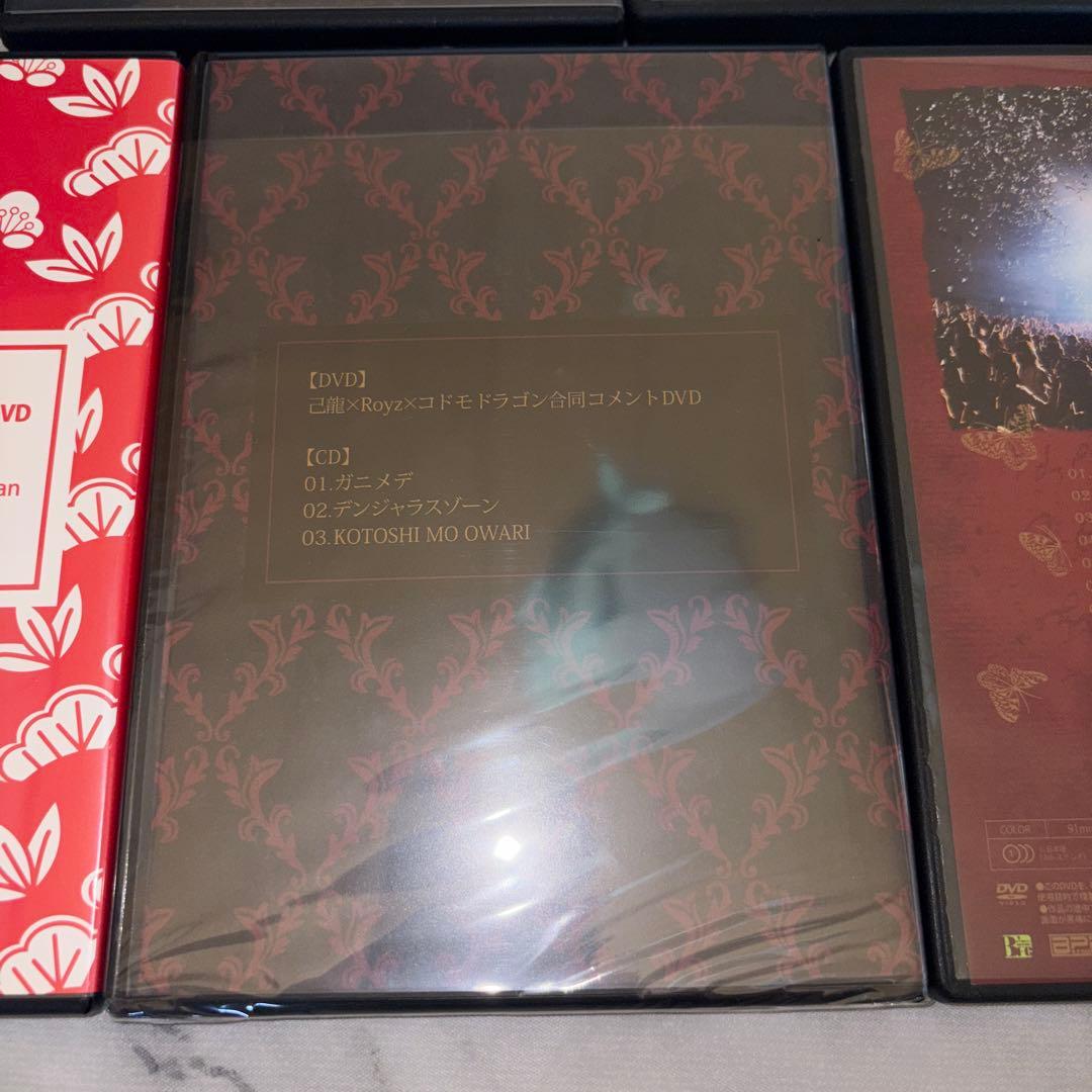 ミュージック Royz DVD