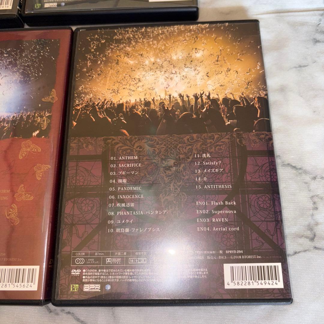 ミュージック Royz DVD