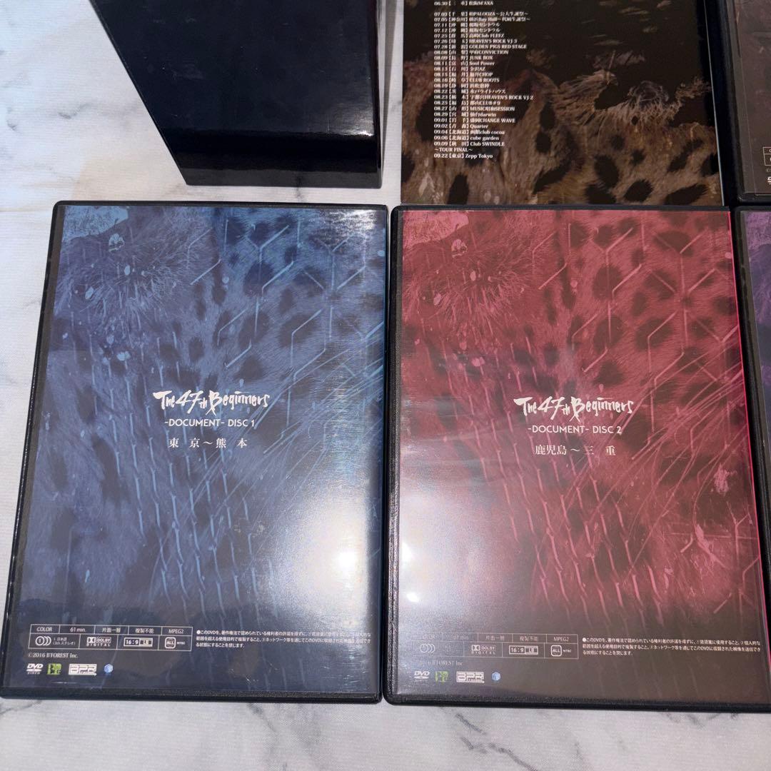 ミュージック Royz DVD