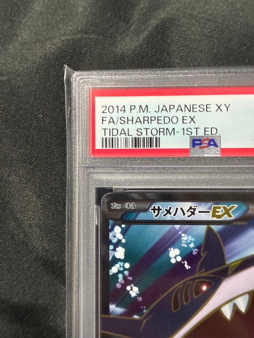 世界186枚 PSA10 サメハダーEX 2014 074 2