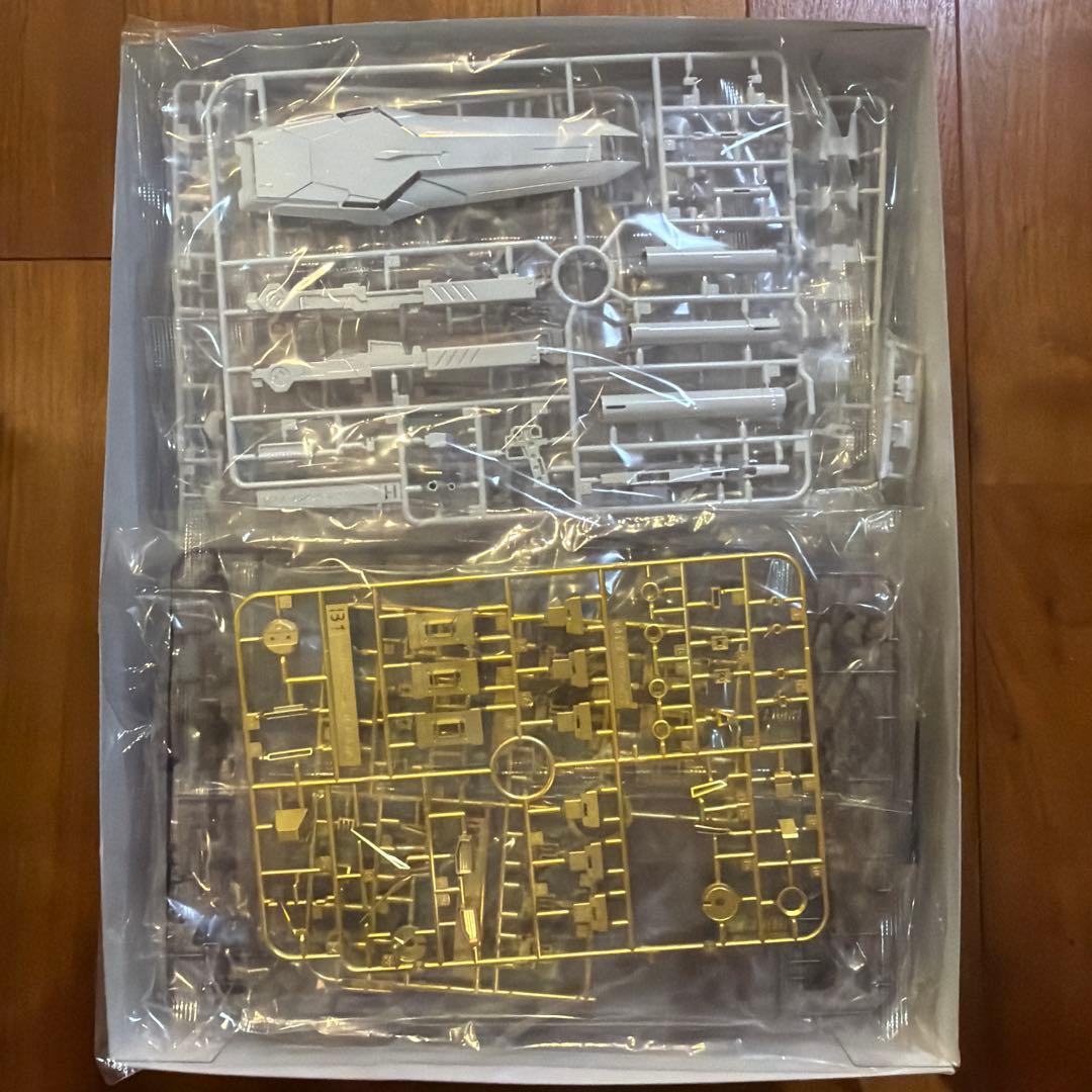 オズボン　MGνガンダムチタニウムフィニッシュ　未組み立て