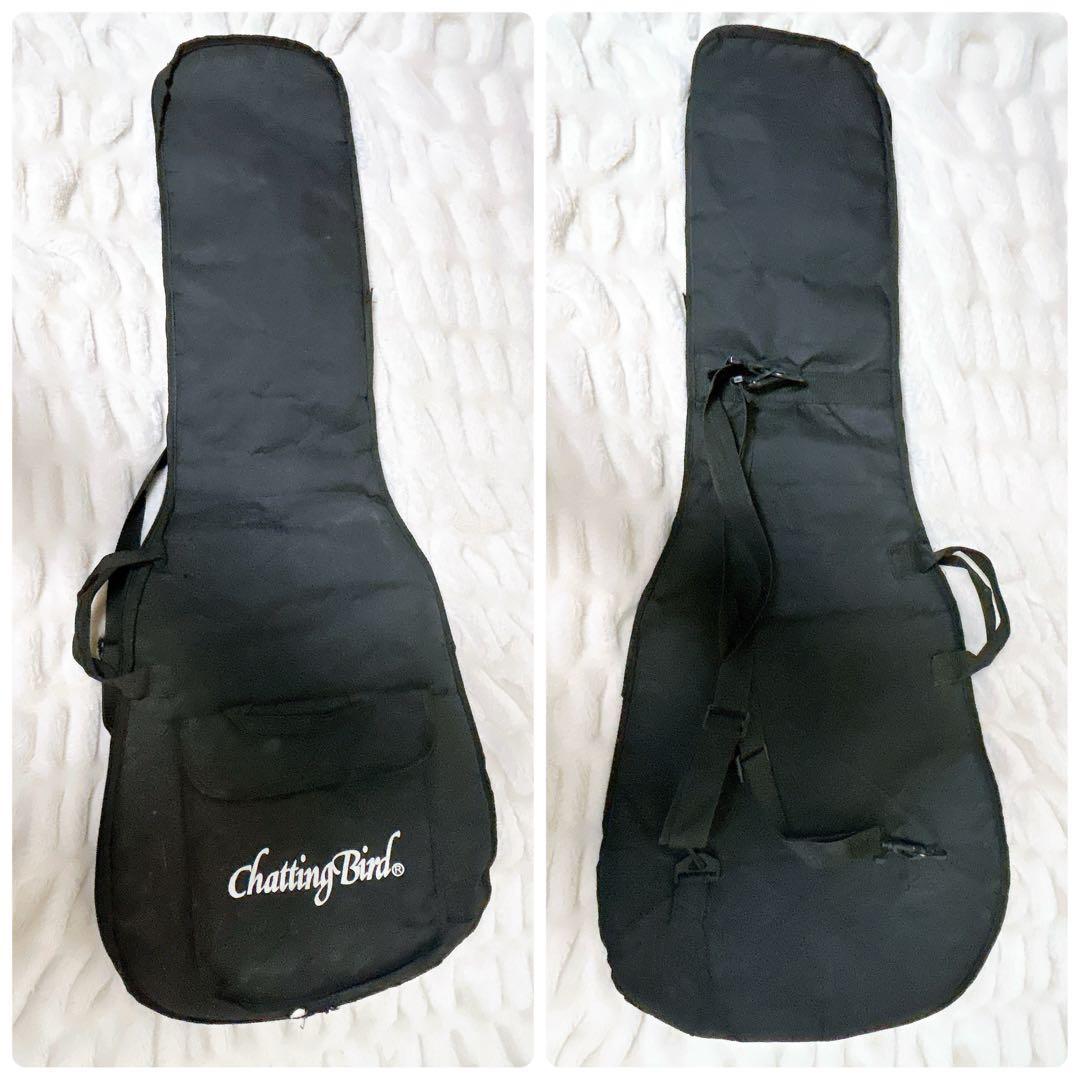 Chatting Bird モッキンバード ブラック 変形ギター エレキギター