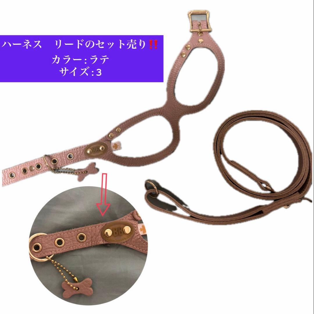 bb ベルトサイズ3バディーベルト ハーネス リードセット
