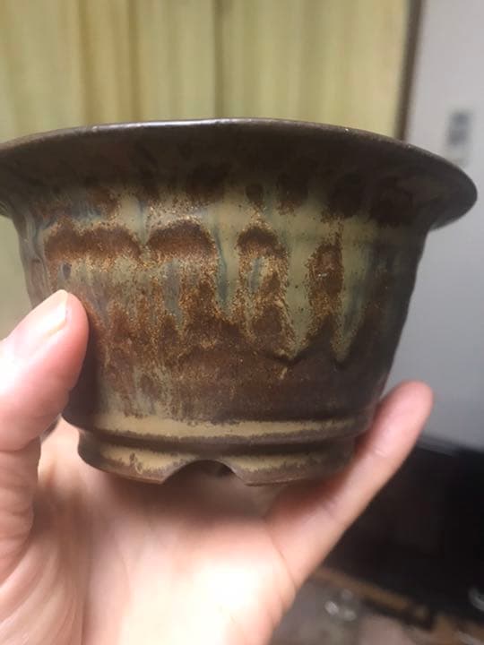 盆栽鉢　時代小品ミニ盆栽鉢峯生3点山野草サボテン可愛い植木鉢