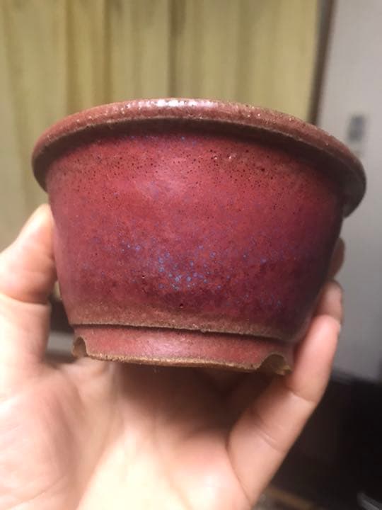 盆栽鉢　時代小品ミニ盆栽鉢峯生3点山野草サボテン可愛い植木鉢