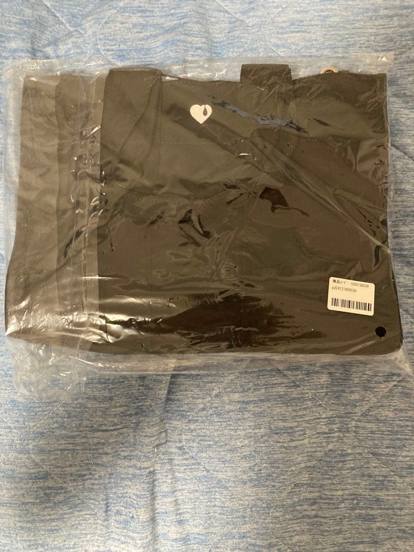 GOD ONLY KNOWS トート バッグ 岩田剛典　8/26