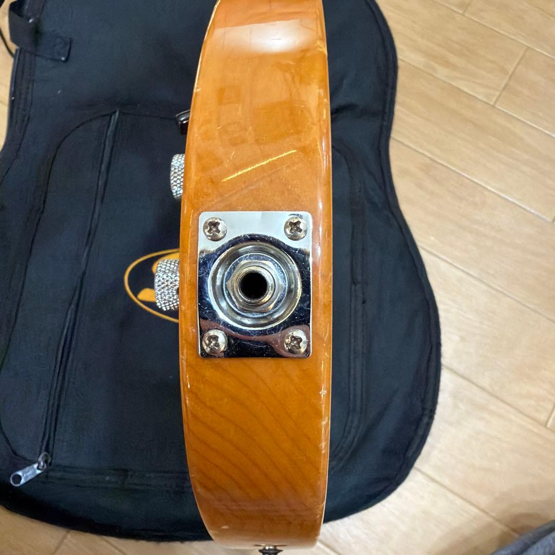 Squier 木目 テレキャスター バタースコッチ ソフトケース 付