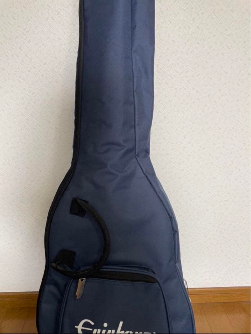 【希少品】Epiphone les paul アナコンダバースト