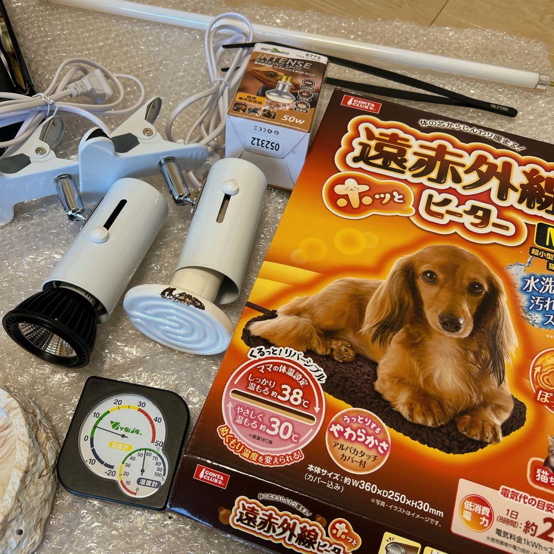 ポポのケージ　フトアゴヒゲトカゲ飼育　フルセット