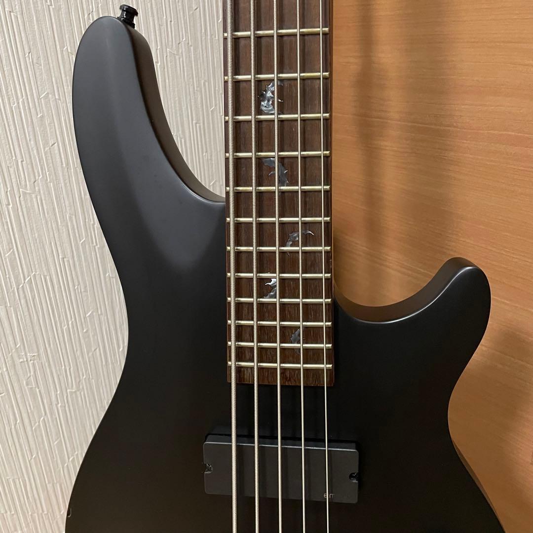 Schecter シェクター 5弦 アクティブ べース ダイアモンドシリーズ