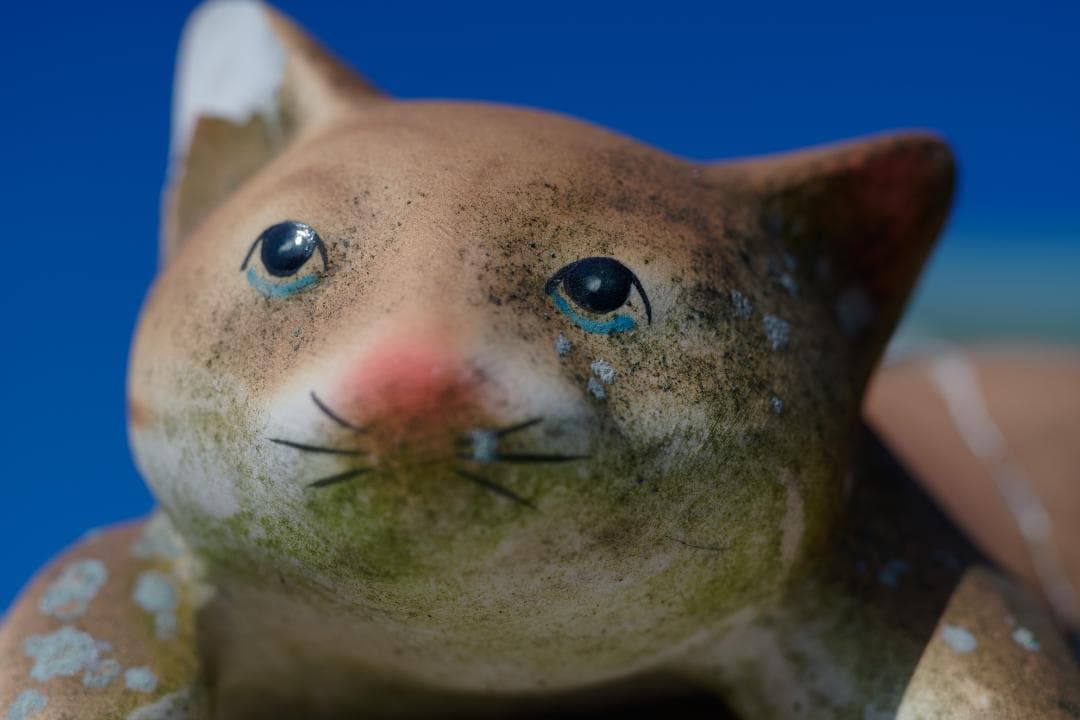 フィルムカメラ Carl Zeiss Makro-Planar 60mm F2.8 AEJ