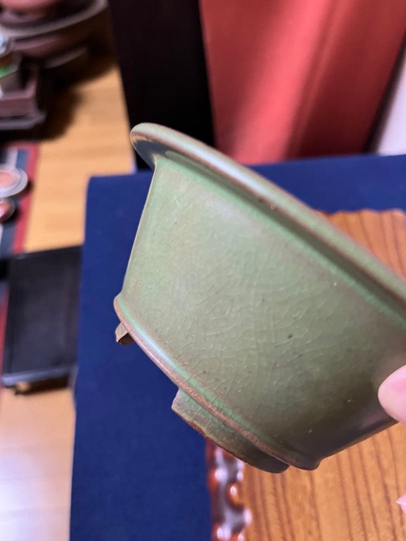 158 盆栽　盆栽鉢　植木鉢　和鉢　松寿