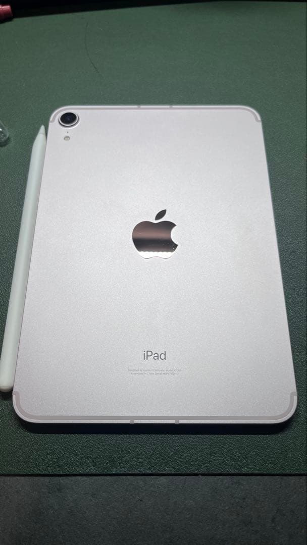 Apple iPad mini 第6世代セルラー256GB【バッテリー100%】