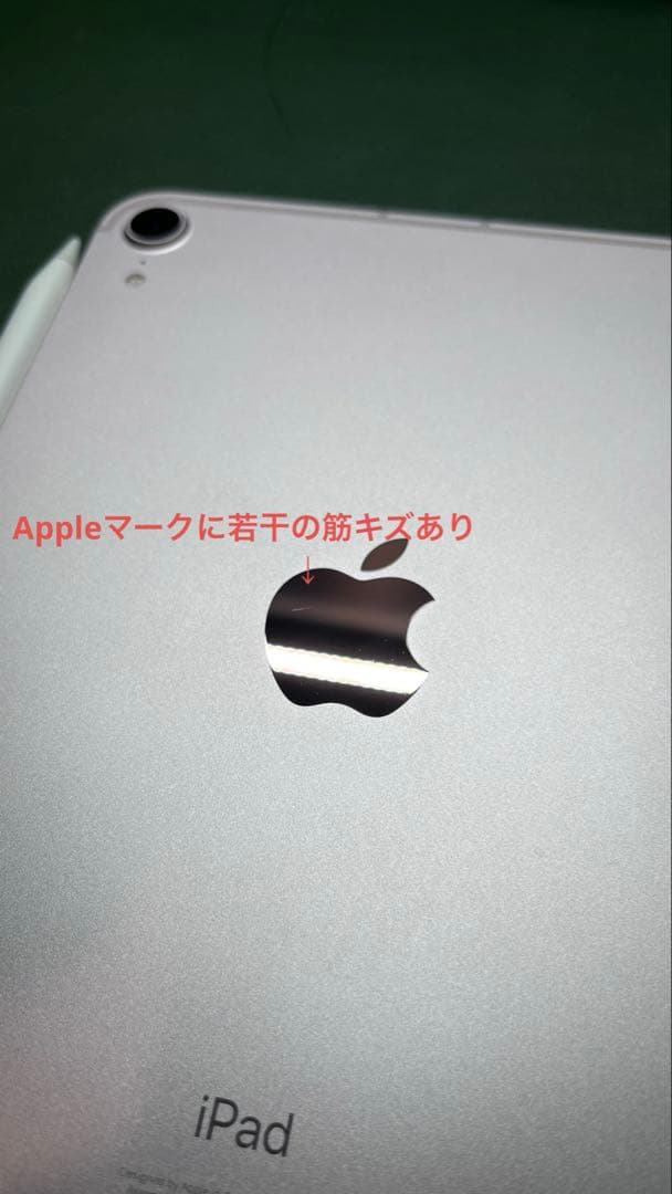 Apple iPad mini 第6世代セルラー256GB【バッテリー100%】
