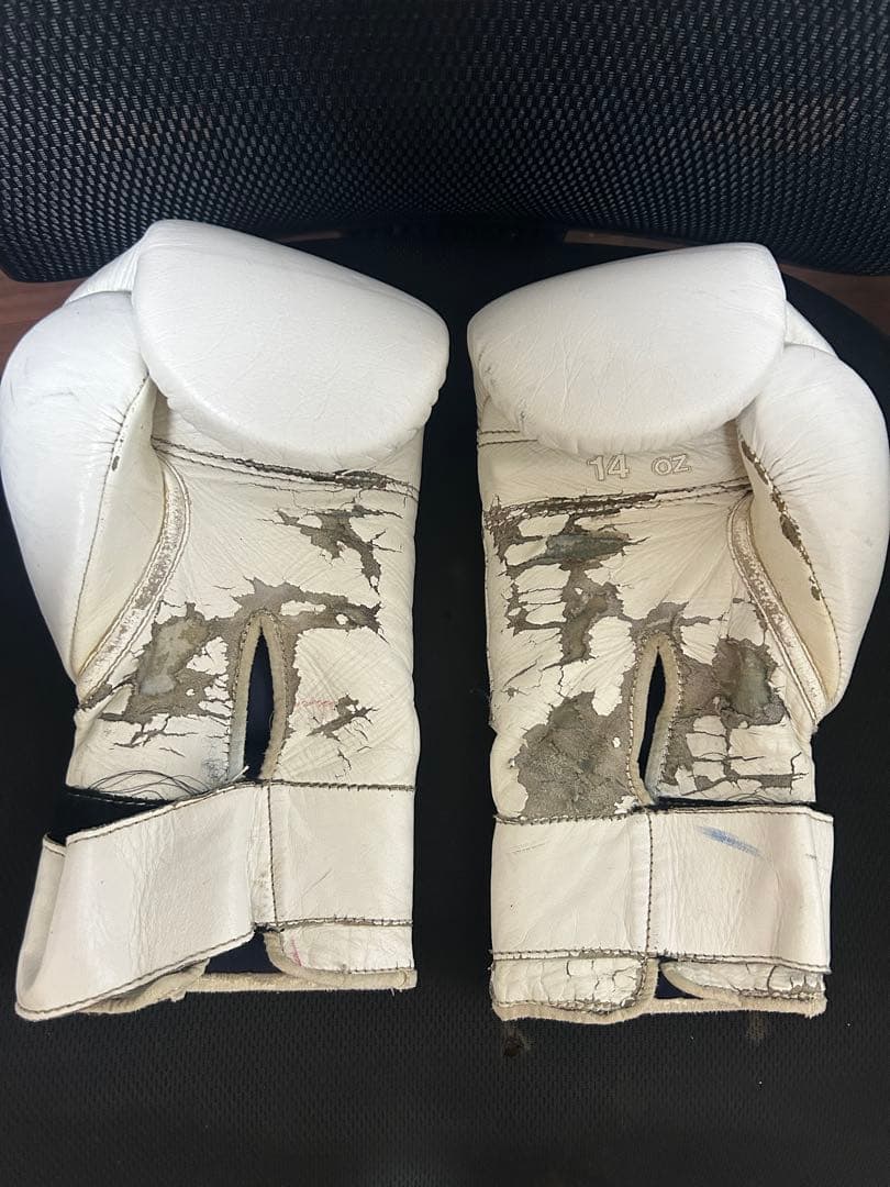 ウィニング　winning 14oz