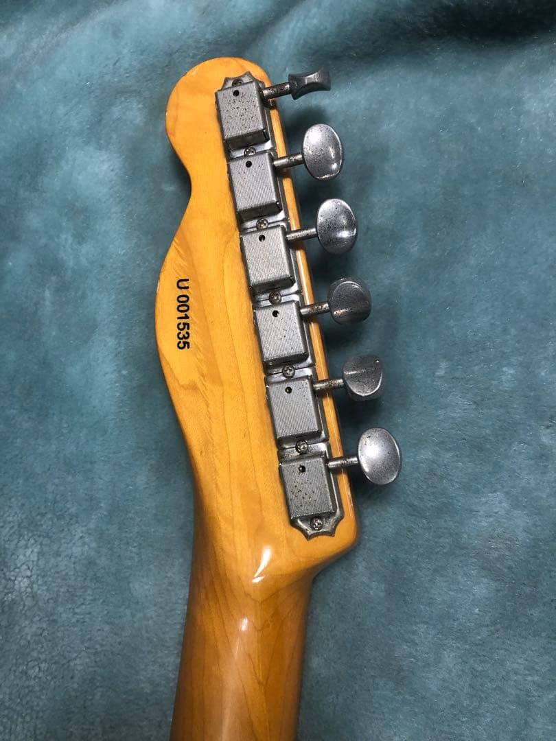 団*地様 バッカス　テレキャスターシンライン