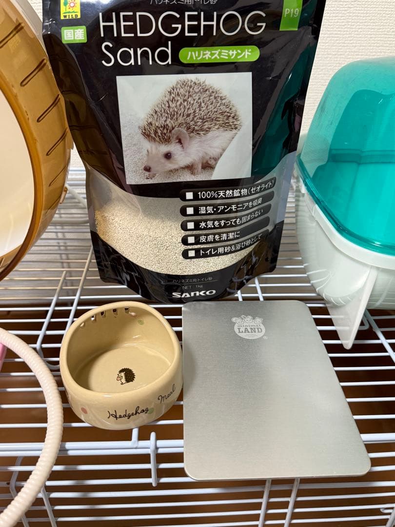 ハリネズミ　飼育セット