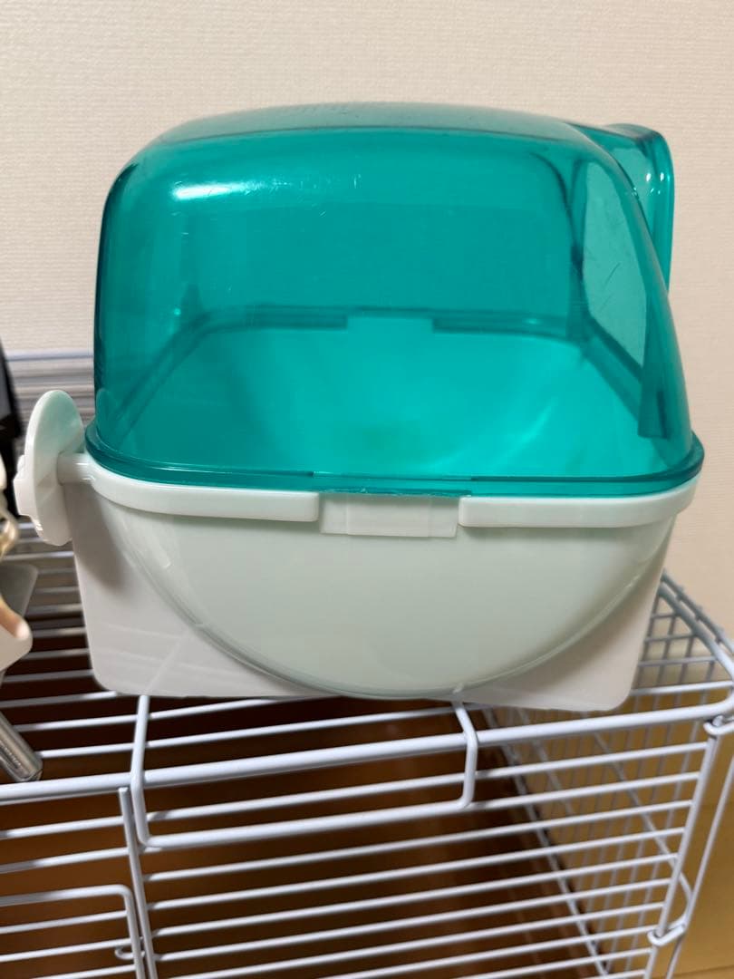 ハリネズミ　飼育セット