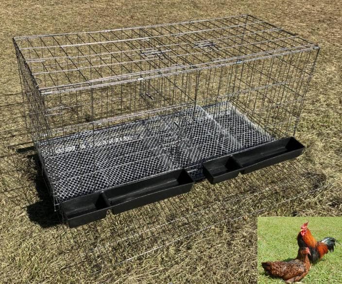 大型鳥かご　烏骨鶏　鶏　バードケージ　鳥籠