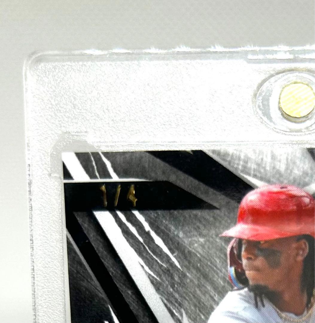 【４枚限定】ELLY DE LA CRUZ AUTO エリーデラクルーズ