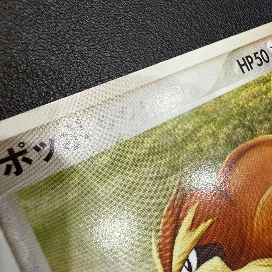 ポケモンカード ポッポ ビジョン ピジョット3枚セット