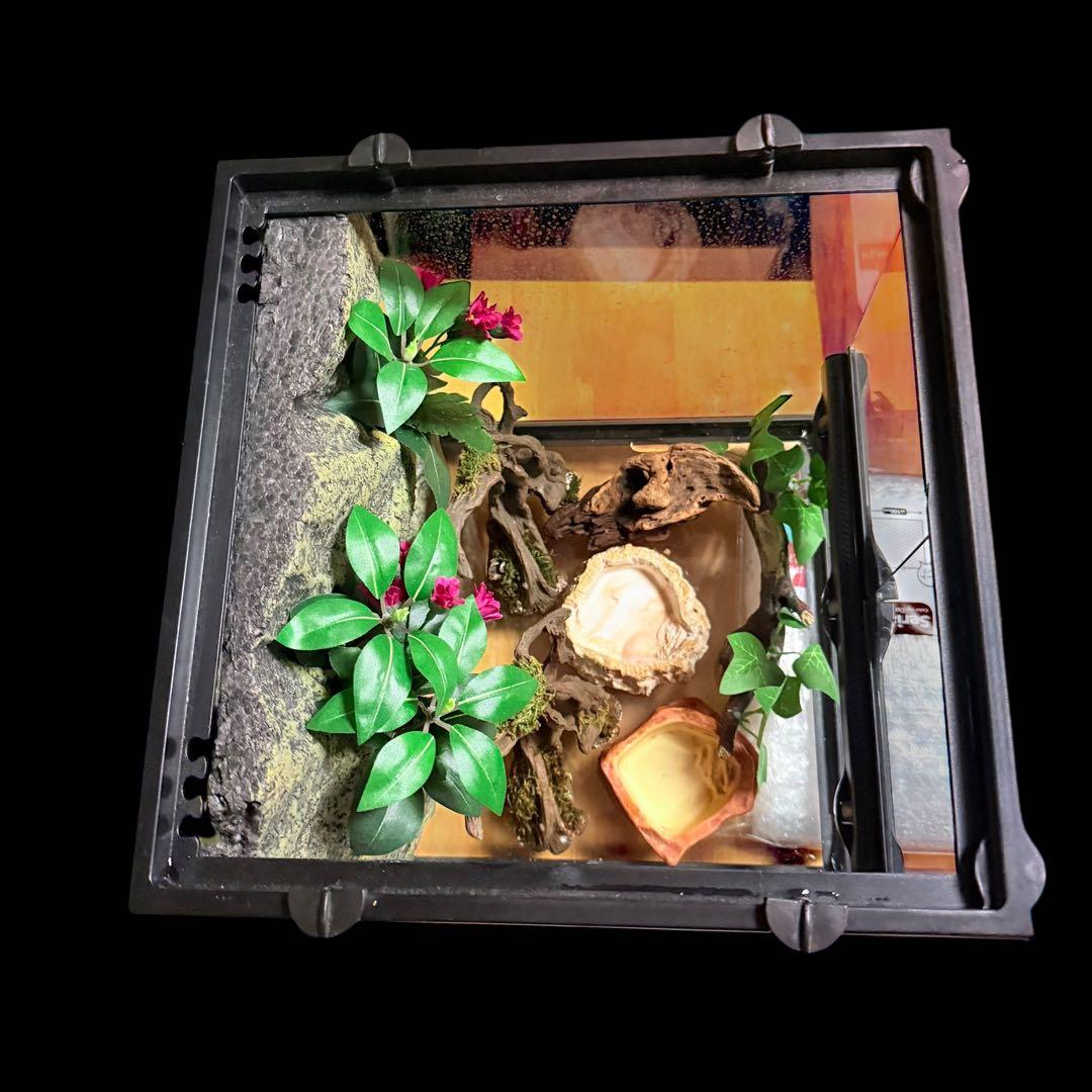 【ヒーター付き】GEX エキゾテラ グラステラリウム 3030