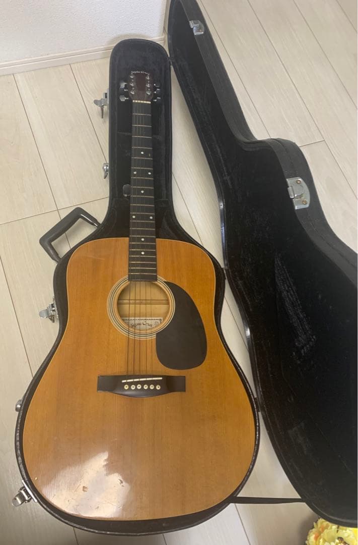 Sepia Crue アコースティックギター　Ｗ－100-N ハードケースセット
