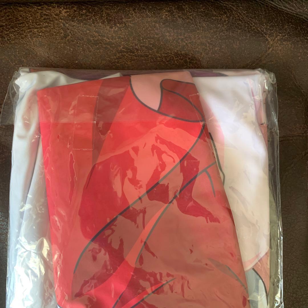 新品未開封廃盤ゲゲゲの鬼太郎猫娘抱き枕カバー 初回特アクリルフィギュア付き限定版