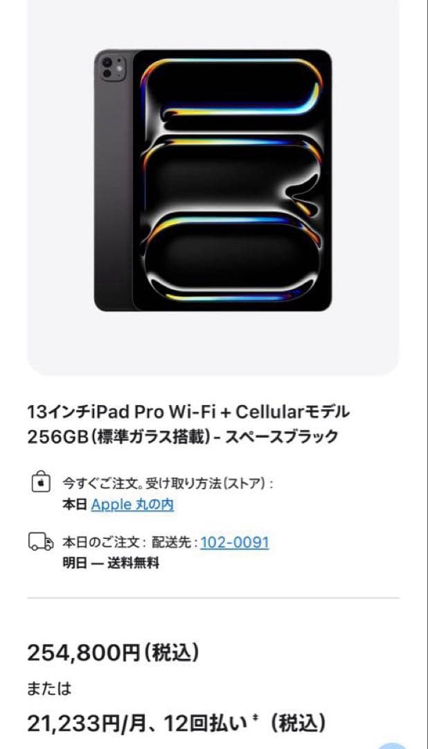 新品iPad Pro 13インチ Wi-Fi + Cellular 256GB