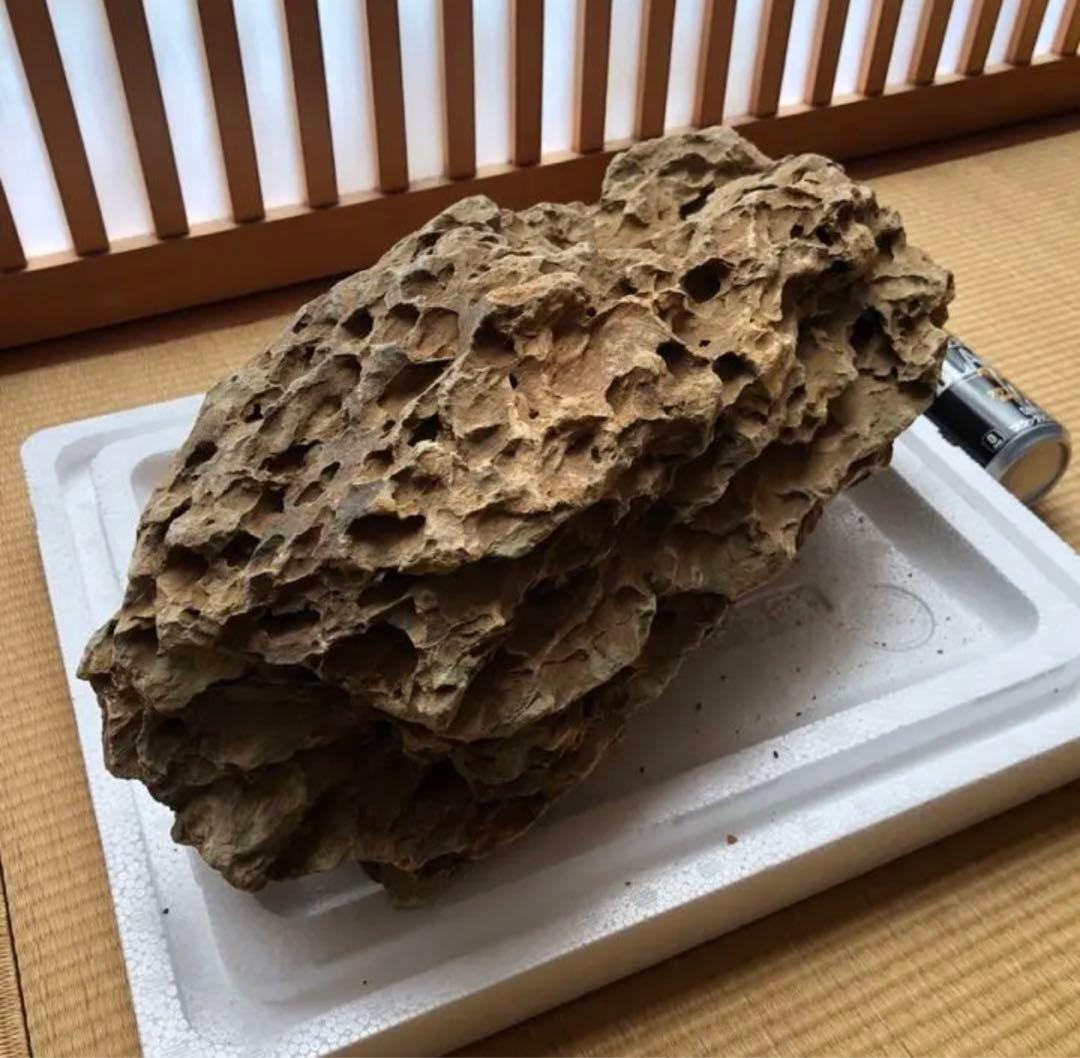 ADA 巨大黄虎石【希少】11kg巨岩親石 美形 気孔石