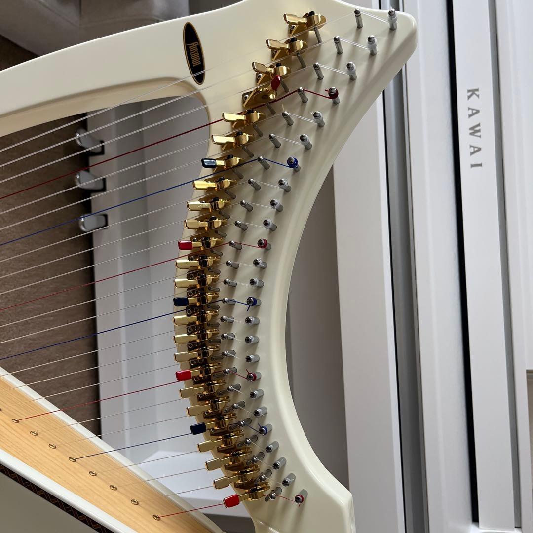 青山ハープ　サウルハープ　25S ホワイト　専用ケース付き　25弦　楽譜台も