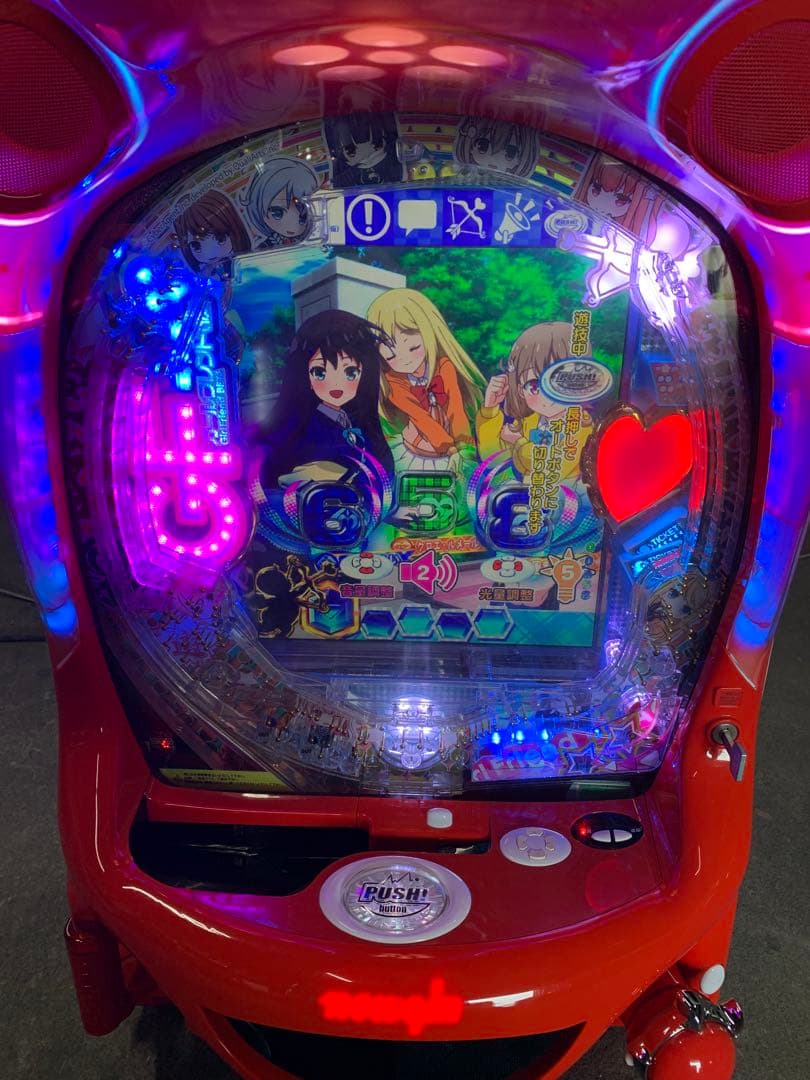 PAガールフレンド　無加工品　送料込み　自宅まで配送