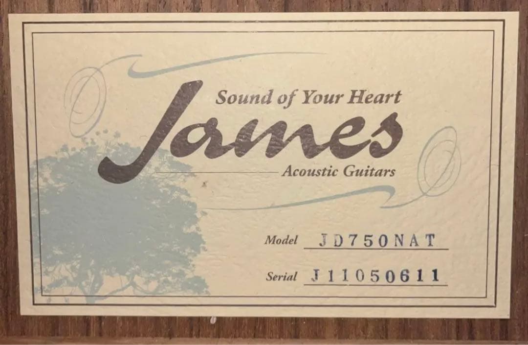 james JD750 アコースティックギター