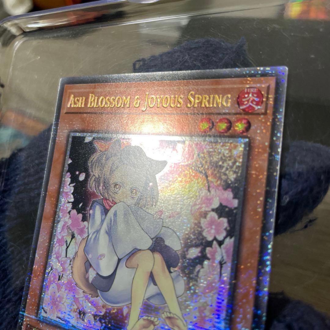 遊戯王　灰流うらら　絵違い　クオシク　25th　英語版　EU版　RA04