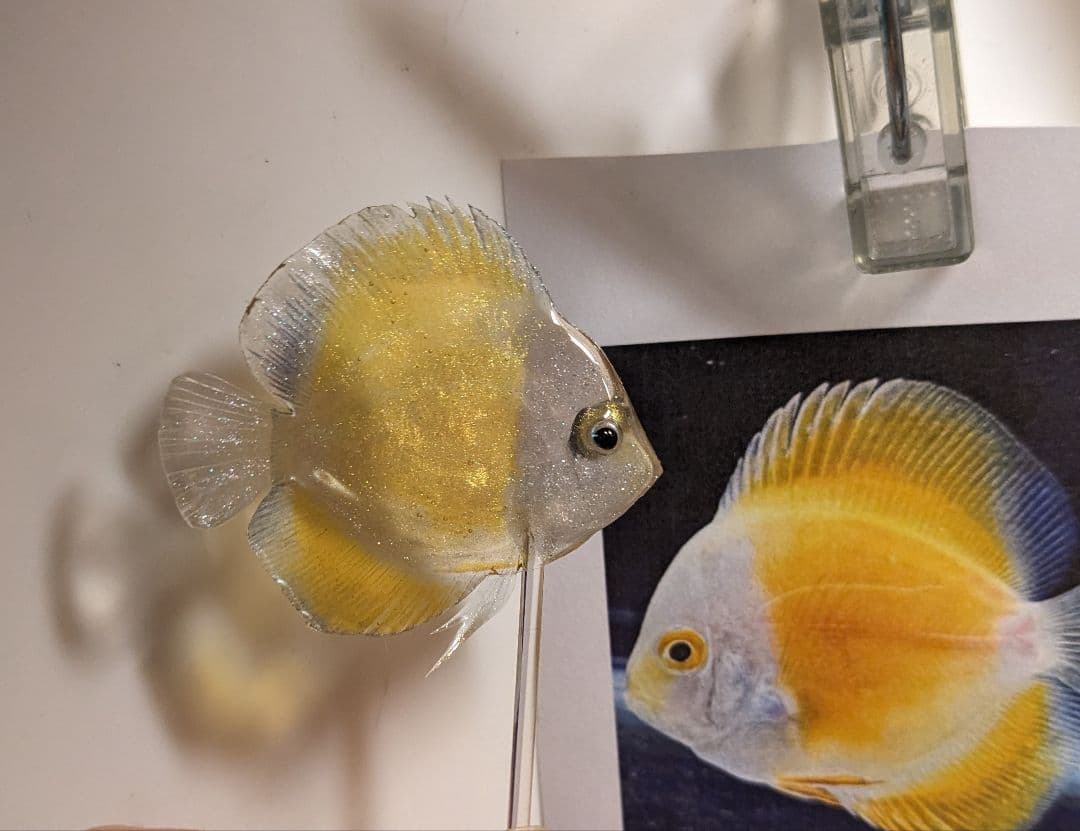 確認用　ゴールデンマルボロレッド