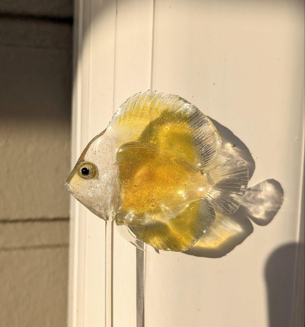 確認用　ゴールデンマルボロレッド