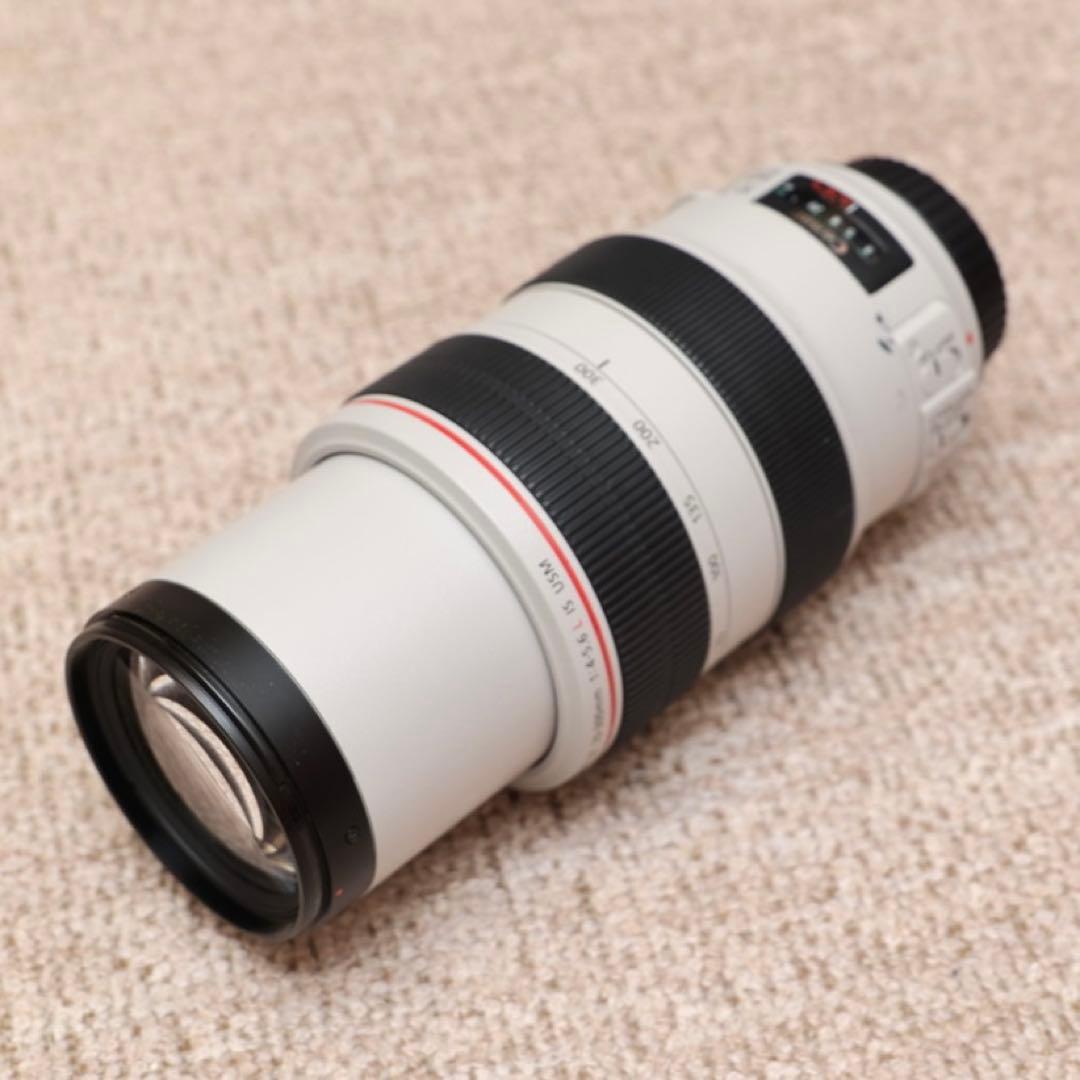 レンズ(ズーム) Canon EF70-300mm F4-5.6L IS USM