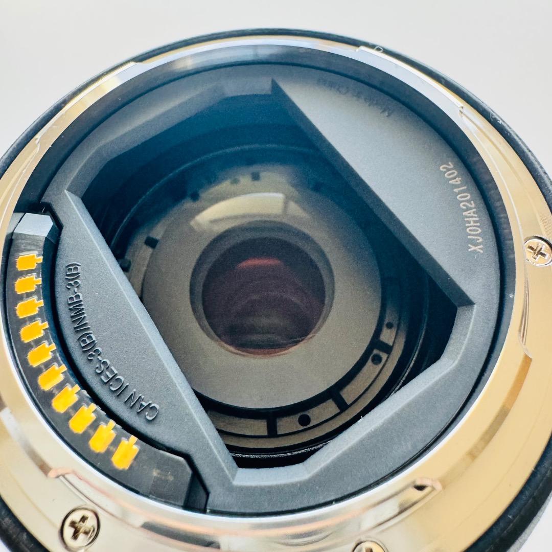 【美品】Panasonic LUMIX 20-60mm f3.5-5.6