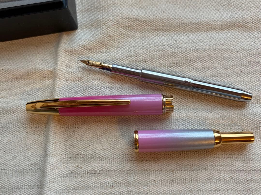 お値下げ不可 ナガサワ 万年筆 キャップレスデシモ 雪御所ザクラ F ゴールド