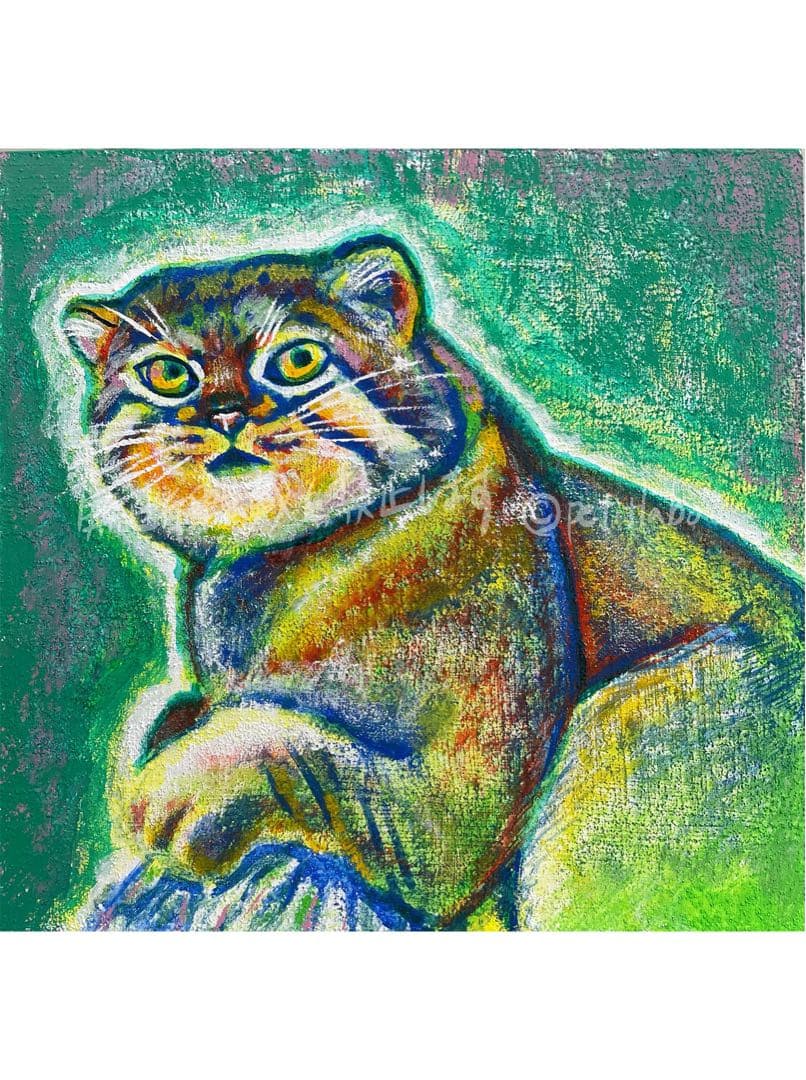 アクリル画　マヌルネコ