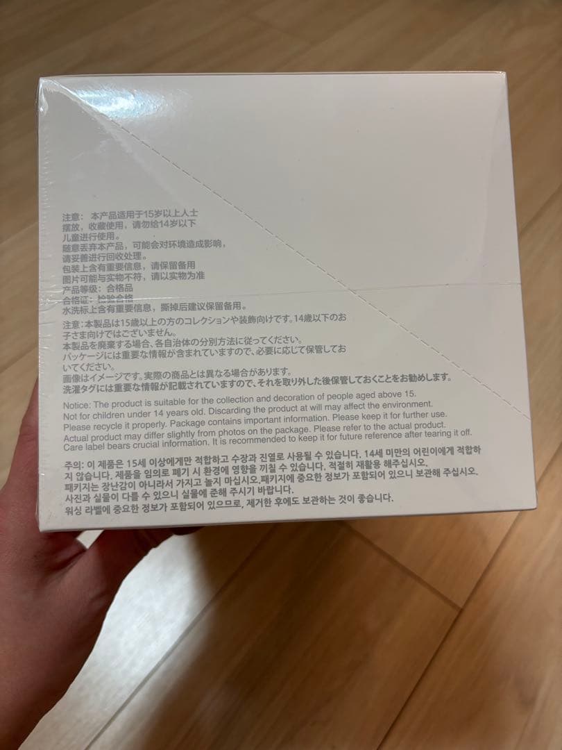 ラブブ　Big into Energy アソート 6体セット