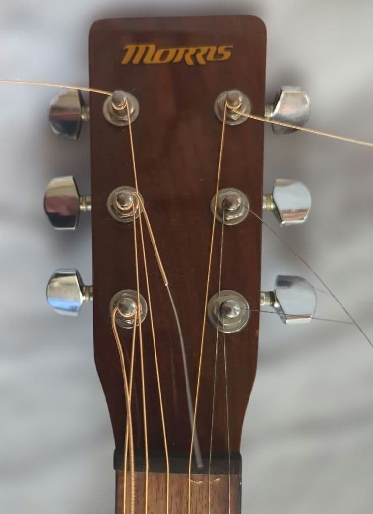 Morris エレアコギター ＭＦ-256ＴＳサンバースト