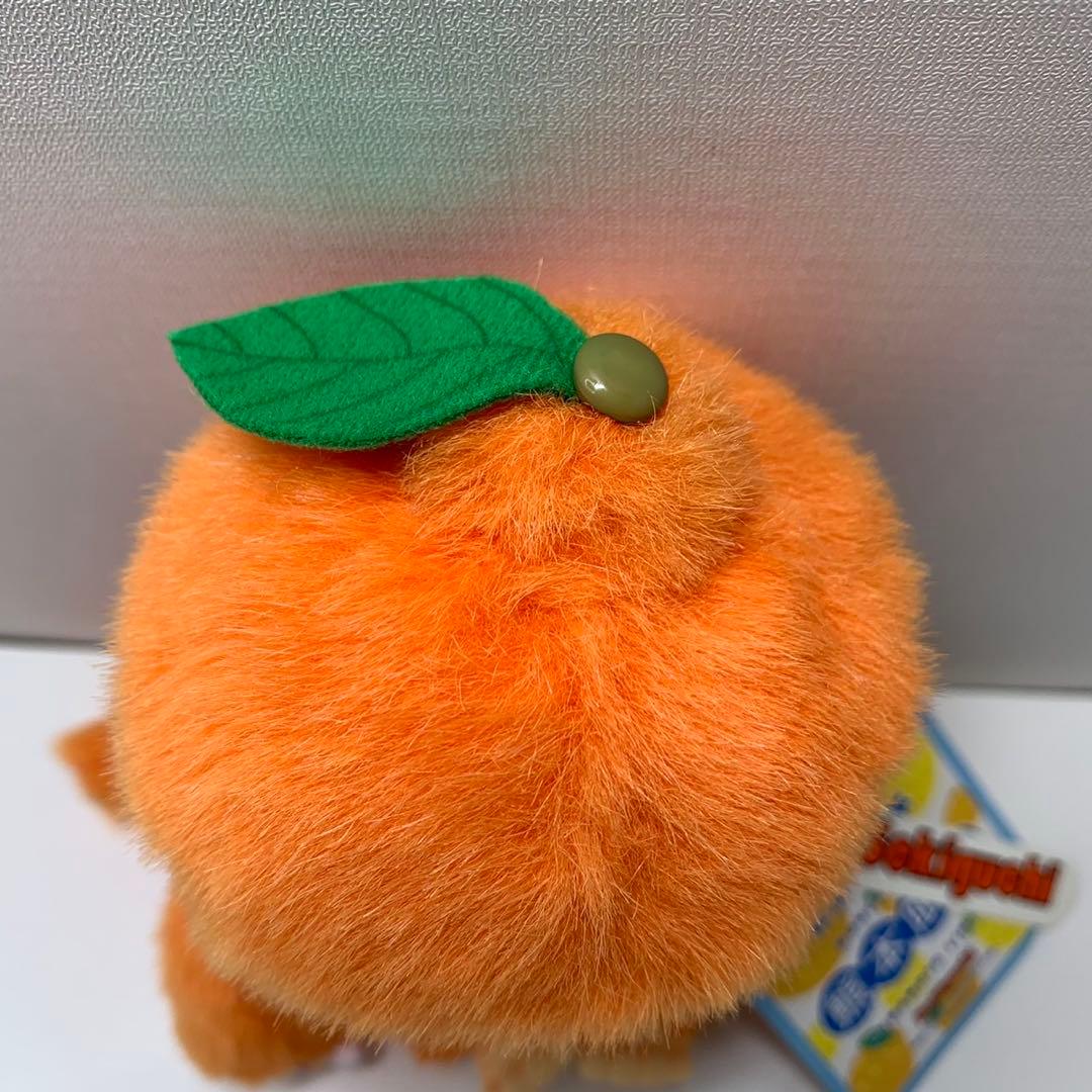 新品 熊本限定 デコポン モンチッチ monchhichi 2959